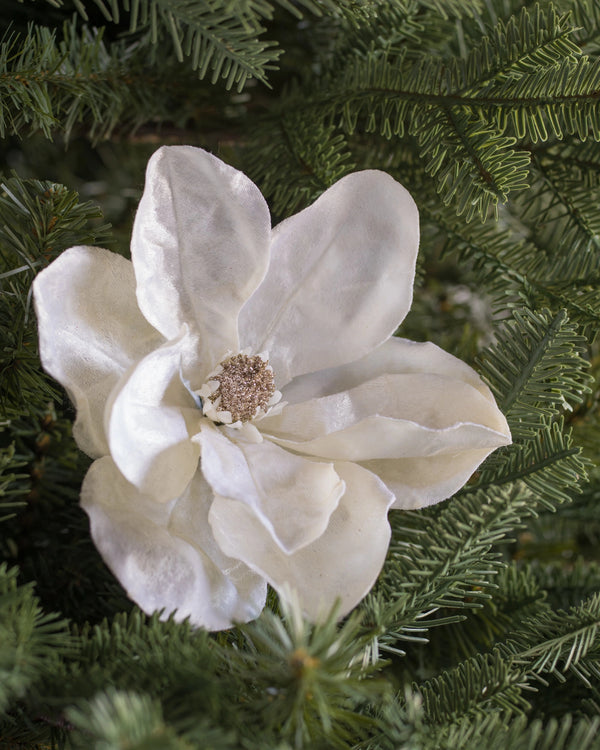 Bouquets de magnolias ivoire Balsam Hill | Détails floraux de Noël luxueux