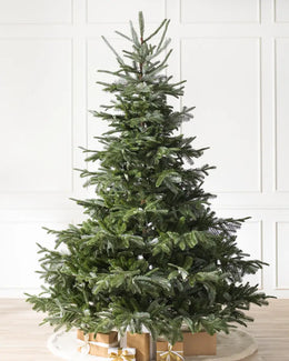 Sapins de Noël artificiels Sapin commun