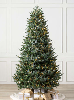 Sapins de Noël artificiels Sapin pectiné d'Europe