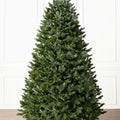 Sapins de Noël artificiels Fraser
