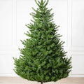 Sapins de Noël artificiels Sapin de Nordmann Standard