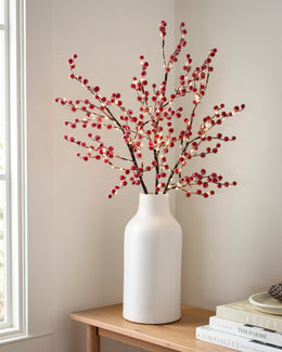 Bouquet de branches lumineuses